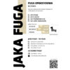 JAKA FUGA epoksydowa FUGA BEŻOWA